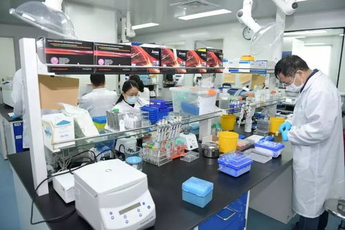 全力以赴 爭分奪秒加強科技攻關 李強書記調研生物醫藥企業,要求加快抗疫產品研發 應用 生產