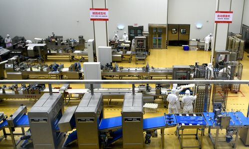 河北石家莊欒城區 企業生產忙 力促產業新格局