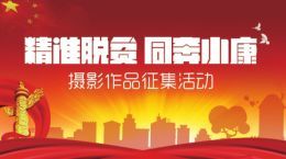 精準脫貧 同奔小康攝影作品征集活動