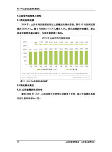 2014年山西省互聯(lián)網(wǎng)發(fā)展報(bào)告