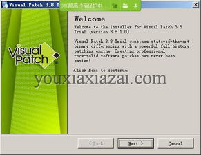 Visual Patch漢化版下載與補丁制作工具3.8.1的軟件開發(fā)及維護指南